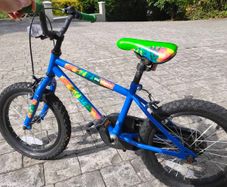 Apollo 16" Bike
