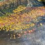 painting Image 3