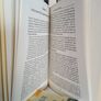 The Status of the Irish Language: A Legal Perspective by Tomas O'Maille (LP161) Image 5
