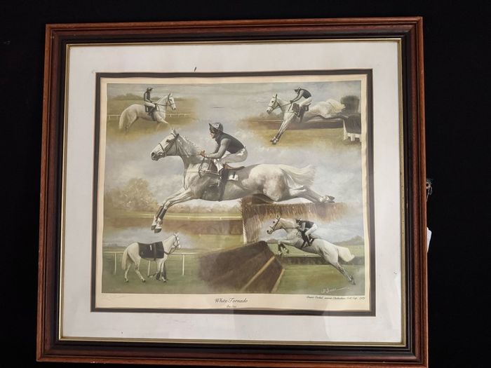 Des Snee Signed Limited Edition Print - "White Tornado" (Desert Orchid, 1989) - 73 x 65 cm