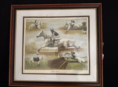 Des Snee Signed Limited Edition Print - "White Tornado" (Desert Orchid, 1989) - 73 x 65 cm