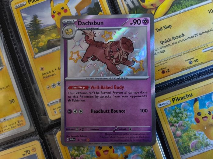 Dachsbun ! Shiny Rare ! from Paldean Fates Set ! 2024 ! Pokemon Card !