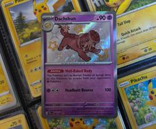 Dachsbun ! Shiny Rare ! from Paldean Fates Set ! 2024 ! Pokemon Card !