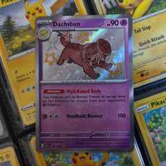 Dachsbun ! Shiny Rare ! from Paldean Fates Set ! 2024 ! Pokemon Card !