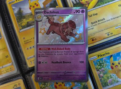 Dachsbun ! Shiny Rare ! from Paldean Fates Set ! 2024 ! Pokemon Card !