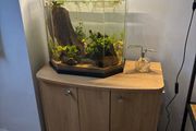 fish tank and stand
