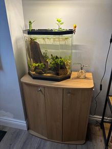fish tank and stand