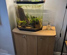 fish tank and stand