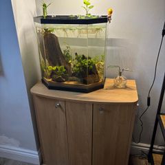 fish tank and stand