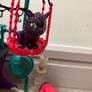 Monster High SECRET CREEPERS CRYPT Doll Playset Pet Cat Crescent Sound Clawdeen Image 5