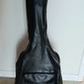 Epiphone DR100 + Carry case Image 7