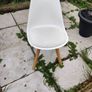 Dinning Chair Image 2