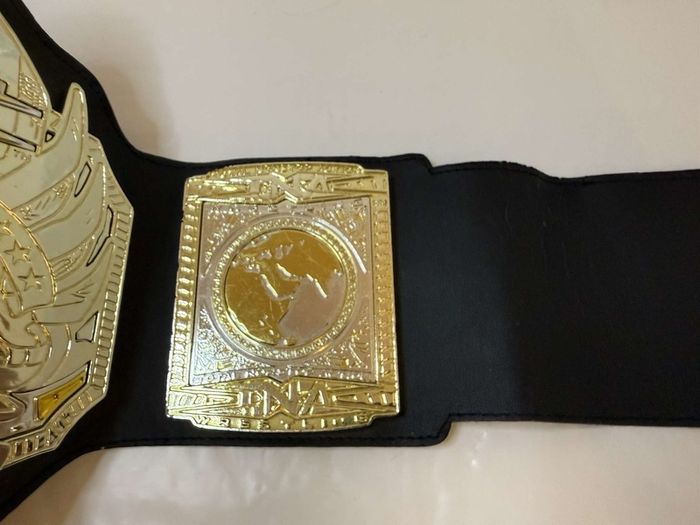 wwe Jakks specific TNA World heavyweight championship kids belt