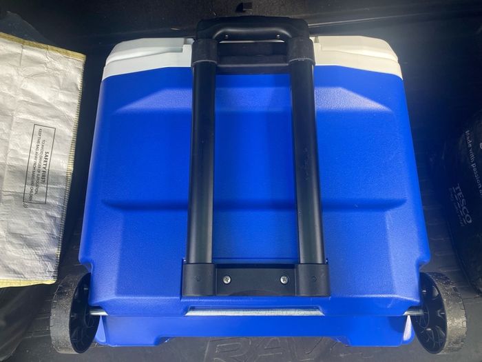 Igloo Laguna Roller Cooler Box 26L with Integrated Thermometer