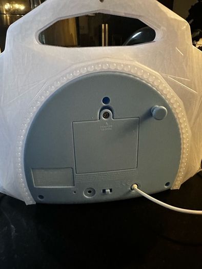 Frozen sing along microphone