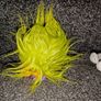 Trolls bundle Image 5