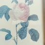 VTG BOMBAY COMPANY Framed Trio Floral Botanical Wall Art Prints Image 8