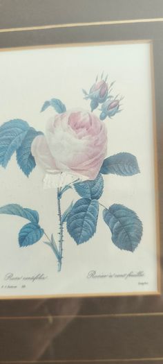 VTG BOMBAY COMPANY Framed Trio Floral Botanical Wall Art Prints