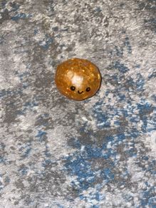 Mini rare gold dumpling