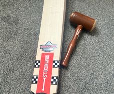 cricket bat