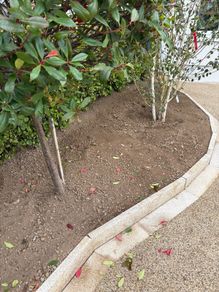 Top Soil, High Quality, 15 rubble bags
