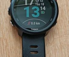Garmin 245 Music