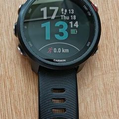 Garmin 245 Music