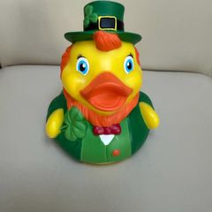 Irish Duckies Leprechaun Money Box