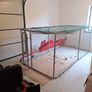 Dog Pen Enclosure Image 4