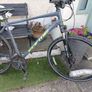 Forme mountain bike Image 2