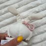 Nature Cat Daisy Rabbit Plush Dirty Keychain TOMY Please look at the pictures Image 10