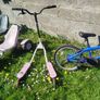 Shed clear out Image 4