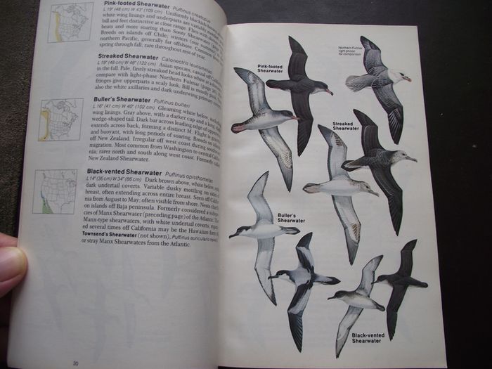 1987 "Field Guide To The Birds Of North America - National Geographic Society"