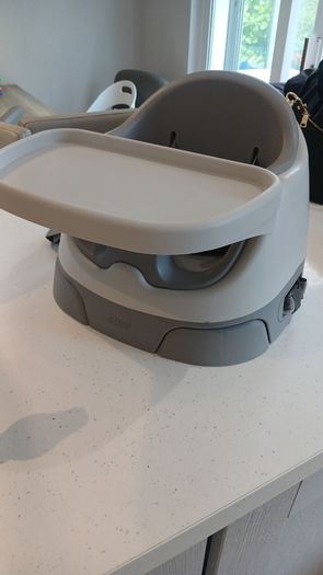 Baby Bug 3 in 1 Chair