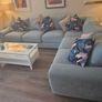 L shaped sofa Image 2
