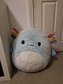 squishmallow