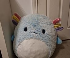 squishmallow 61 cm