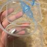 Nasal aspirator for babies / children Image 3