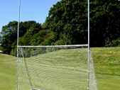 Precision Multi Sport Steel Goal