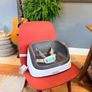 Ingenuity Booster Seat Image 2