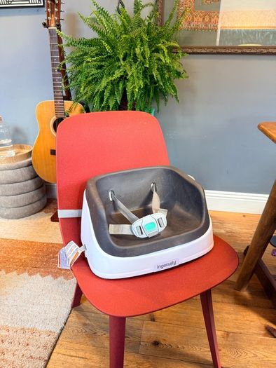 Ingenuity Booster Seat