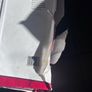 A3 paper Image 9