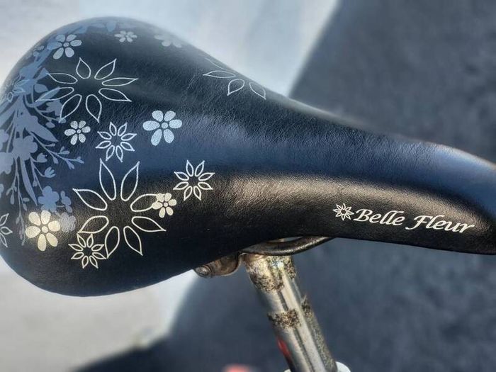 Ladies Bike Ready To Use.read Add