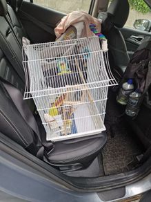 Bird cage and accessories.