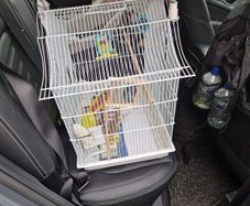 Bird cage and accessories.