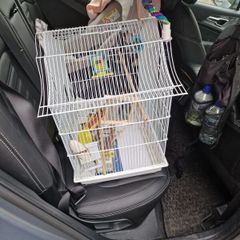 Bird cage and accessories.