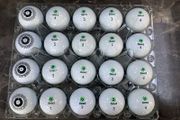 Seed golf balls (20)