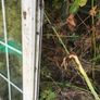 double glazed door and frame Image 6