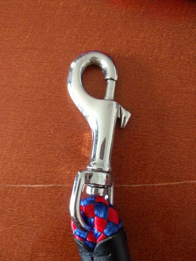 Small dog leash