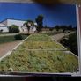 Australia Land Of Many Dreams (Damaged) Image 6